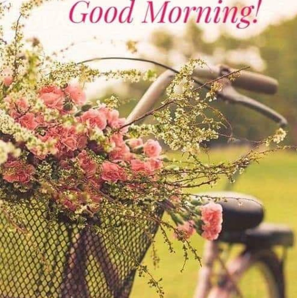 Morning